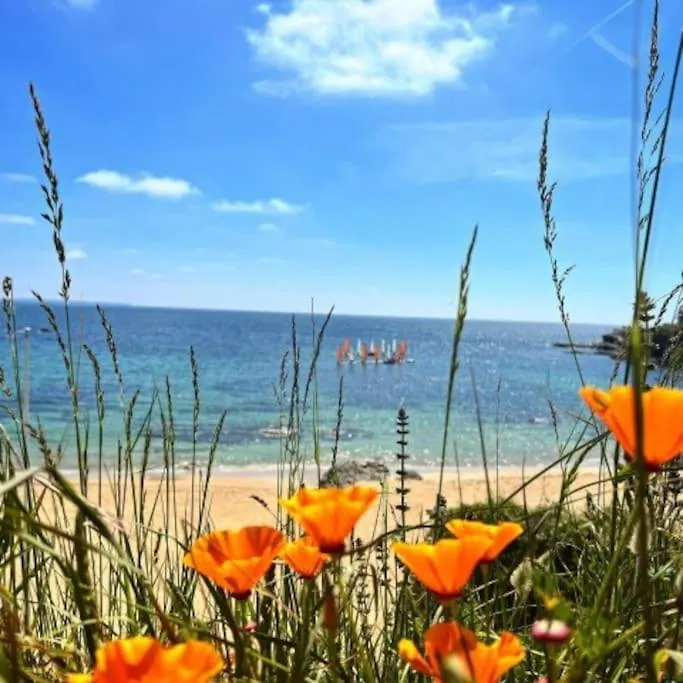 Clohars-Carnoët Villa Ty Mai, Moderne, Plages, Animaux Acceptes, 2 A 6 Personnes בית נופש